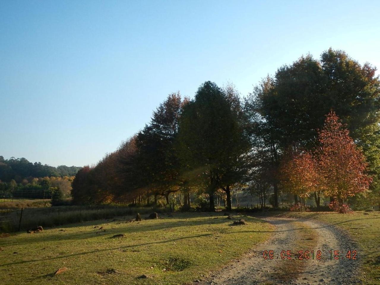 The Falls Cottages Howick Eksteriør bilde